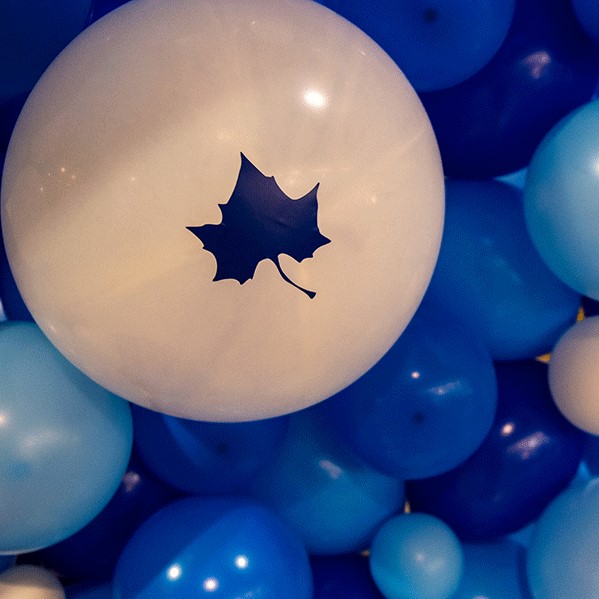 Different sizes of balloons, some white and others different shades of blue, are visible. The largest balloon is white and has a dark blue Sycamore leaf on it.