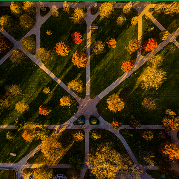 Aerial shot looking directly down on the Indiana State campus quad in autumn. Red, orange, green, and brown trees are visible in slanted sunlight and shadow. Walkways crisscross the green grass between the trees.