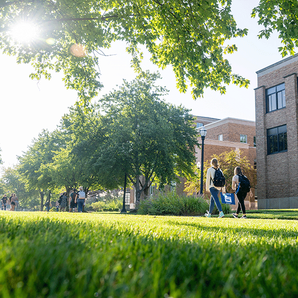 Students walking along a pathway on campus with a close up view of grass in the foreground