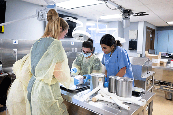 Four students of mixed races are dressed in blue scrubs and yellow surgical robes. They’re in a medical lab and they are looking at a brain on the surgical table to the mannequin.