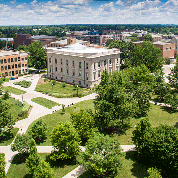 Aerial photo showing trees in the university quad in summer with blue sky and a white building in the background. 