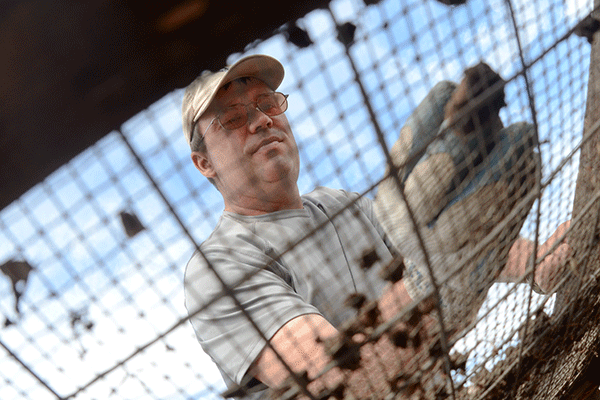 A white middle-aged male with short brown hair is kneeling over a metal cage. He wears clear glasses, a tan baseball cap, and a grey T-shirt. He also wears protective gloves as he touches the cage. Small animals or insects are attached to the cage, visible but out of focus.  