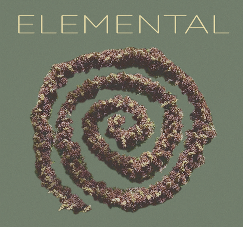 elemental exhibition poster