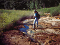 A woman stands amidst a dried brook in a grassy field. A small section of water is still in a section of the brook’s deepest grooves.