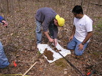 Two people are in the woods, one bent over a white plastic tarp laid on the ground and the other on their knees analyzing the topsoil that is on the tarp.