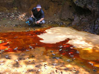 A man sits at the edge of a stagnant pond. He has tools and is appearing to perform some form of research or academic study on the liquid and is crouched at a safe distance away form the water.