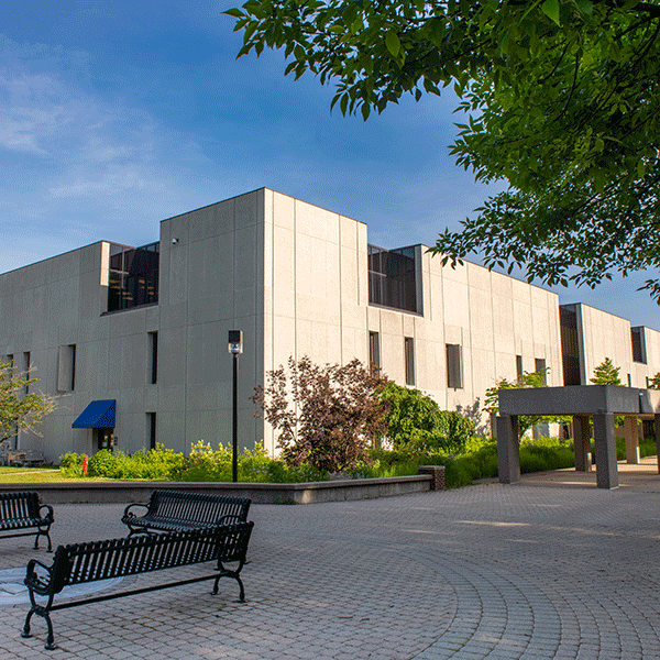 A multi-story building with a minimalist design and large windows, surrounded by landscaping with bushes and trees. In the foreground, black metal benches sit on a paved area, partially shaded by tree branches.