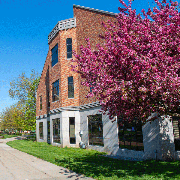 A brick and stone building with large windows is situated next to a sidewalk and a grassy area. A vibrant pink flowering tree is in full bloom on the right side of the image, partially obscuring the building. The sky is clear and blue, indicating a sunny day.