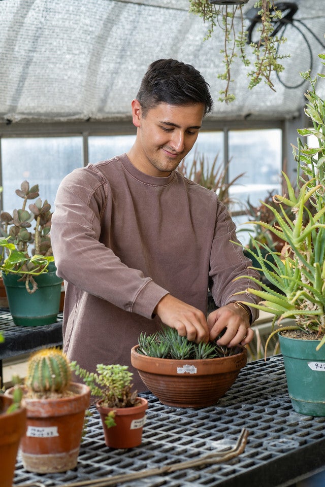 A young man wearing a brown long-sleeve shirt tends to a potted succulent in a greenhouse filled with various plants, including cacti and aloe, arranged on black metal tables under natural light.