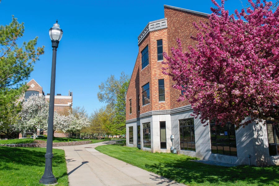 A brick building with large windows and a gray stone base sits along a curved sidewalk on a sunny day. A blooming tree with bright pink flowers is in the foreground on the right, while other trees with white blossoms and green foliage are in the background. A black lamppost stands on the left side of the sidewalk.