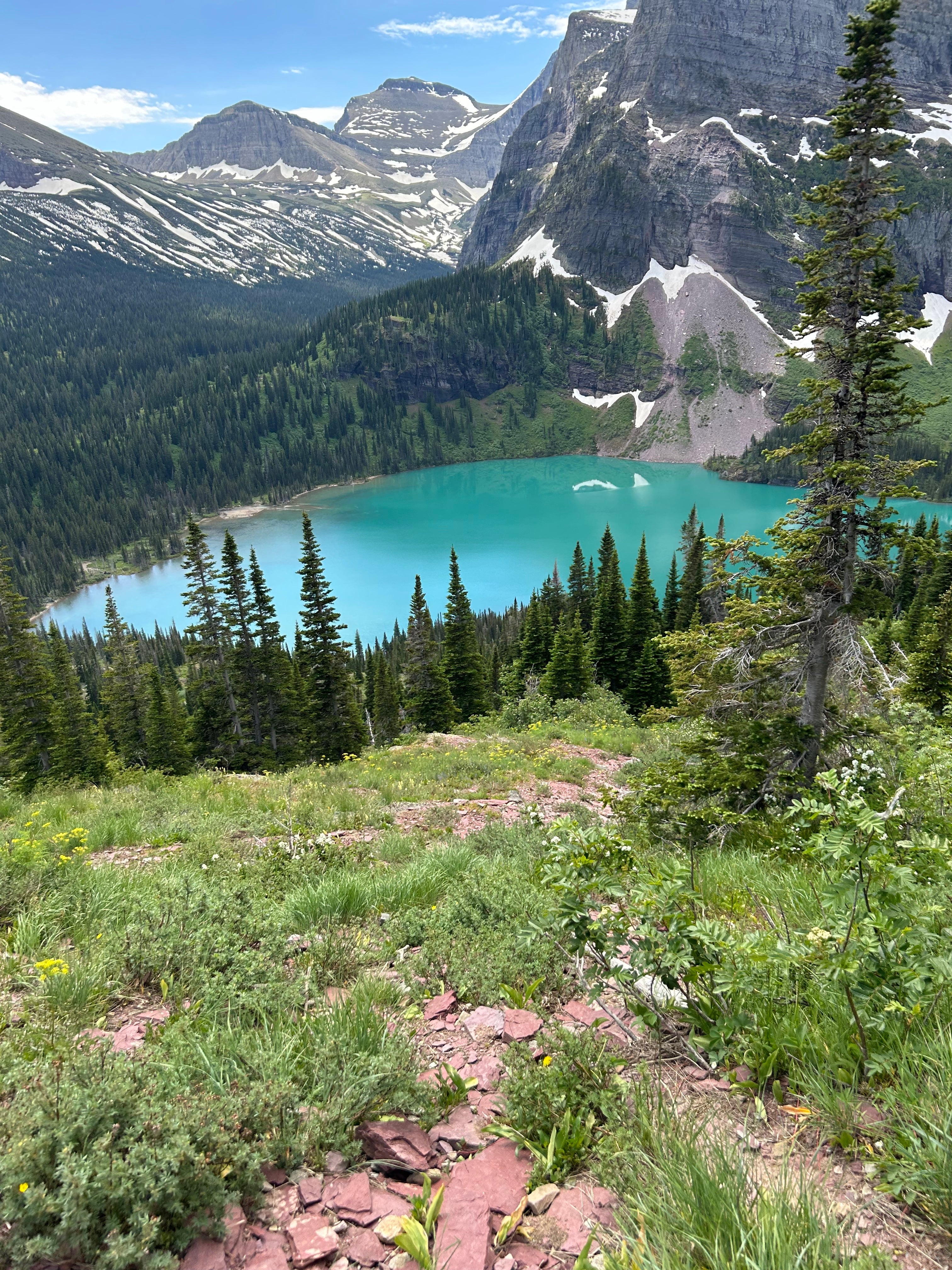 Turquoise alpine lake surrounded by dense pine forest, wildflowers, and rocky mountain peaks with patches of snow under a partly cloudy sky.