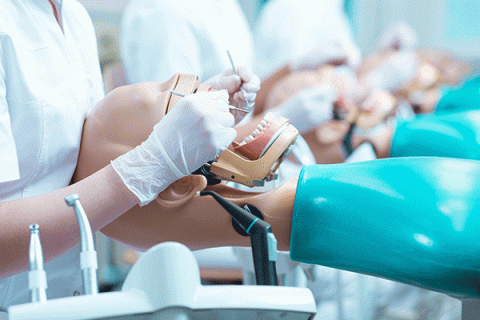 A mannequin with an open mouth reclines in a dentist’s chair. A dental student wearing a white lab coat and white latex gloves holds dental tools, including a mouth mirror and a dental laser. Other students are blurred in the background.