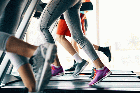 Four pairs of legs running on treadmills. The two pairs of legs closest to the camera wear grey leggings. The third pair, further back, wears red shorts. The fourth pair appears to be wearing black shorts but the person is barely visible from behind the other three. All wear grey or black athletic footwear except for the second person, who is wearing violet-colored running shoes.