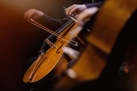 A pair of white hands plays a cello against a dark, softly lit background. Blurred in the foreground, suggesting motion, another pair of hands plays a cello that is much closer in the frame.
