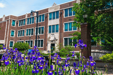 An exterior photograph of a multi-story brick building with steps leading to an entryway and purple flowers in the foreground. Trees and bushes are visible in front of the building. 