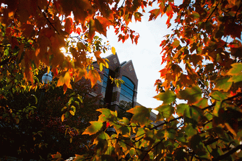 The front of the Bailey College of Engineering and Technology brick building is visible in the background through brightly colored orange and green foliage in Spring.  