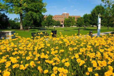 ISU Flower Field