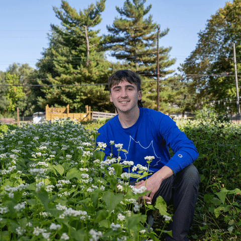 A white man with short brown hair kneels in a garden filled with green plants and small white flowers. He is smiling and wearing a bright blue long-sleeve shirt. Tall trees and a clear sky are visible in the background.
